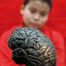 3. ON EDUCATION AND THE NEUROSCIENCES